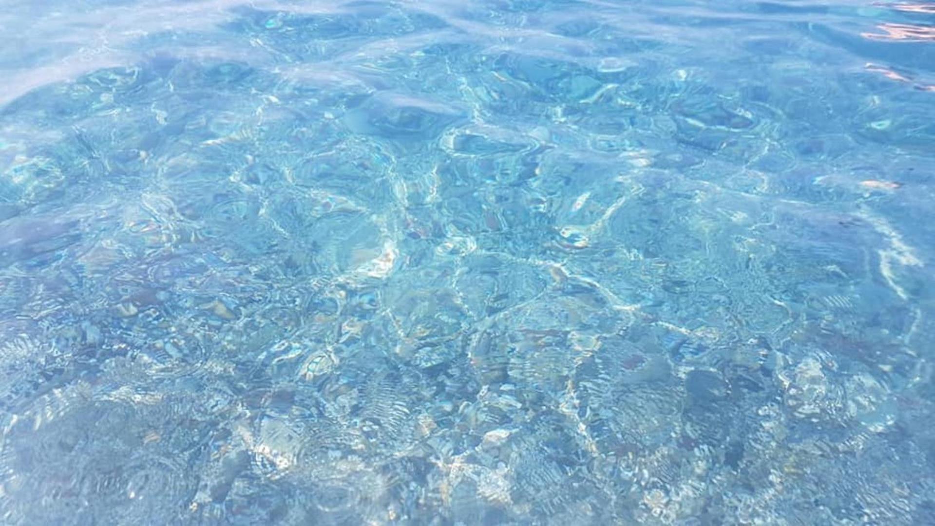 Tino Brezza Di Mare Διαμέρισμα Deiva Marina Εξωτερικό φωτογραφία